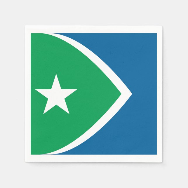 Flag of Cedar Rapids, Iowa Napkins (Front)