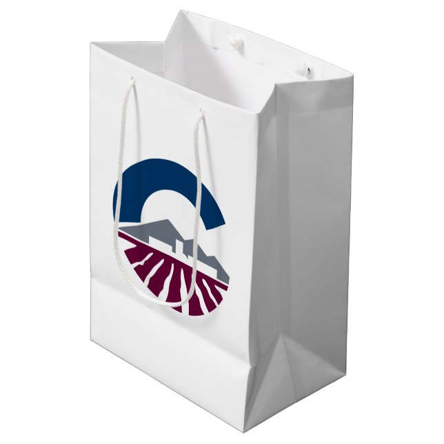 Flag of Chandler, Arizona Medium Gift Bag (Front Angled)