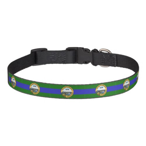 Flag of Chattanooga Tennessee Pet Collar