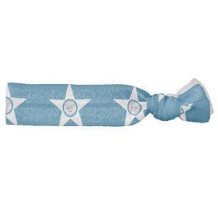 Flag of city of Houston, Texas Elastic Hair Tie
