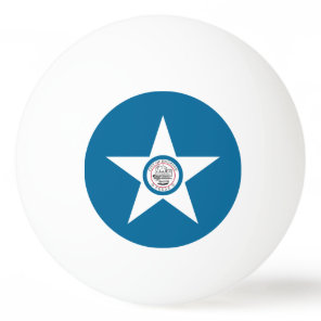 Flag of city of Houston, Texas Ping-Pong Ball