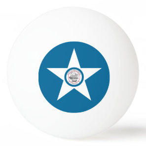 Flag of city of Houston, Texas Ping Pong Ball