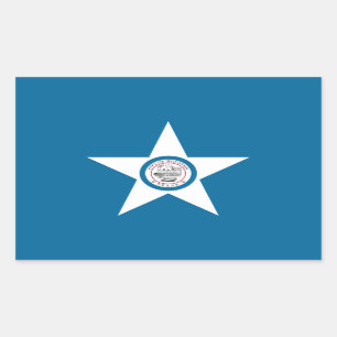 Flag of city of Houston, Texas Rectangular Sticker