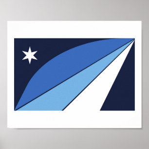 Flag of Columbia, South Carolina Poster