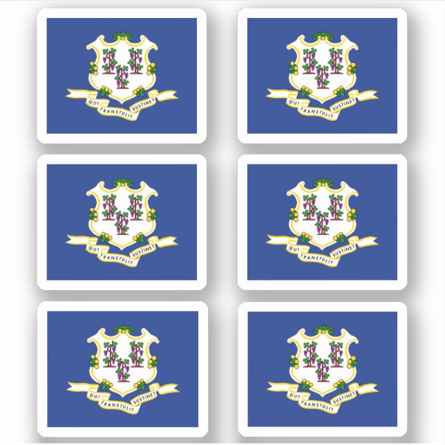 Flag of Connecticut American state flag Sticker (Front)
