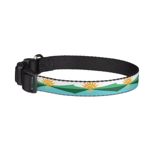 Flag of Coral Springs Florida Pet Collar