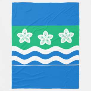 Flag of Cumberland Fleece Blanket
