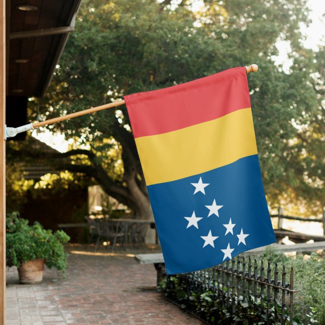 Flag of Durham (North Carolina, USA) (In SItu)