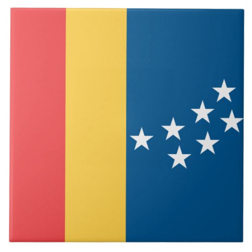 Flag of Durham North Carolina USA Ceramic Tile