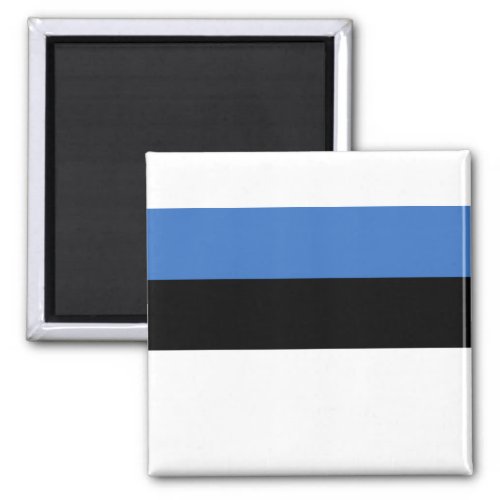 Flag of Estonia Magnet