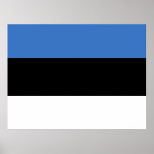 Flag of Estonia Poster