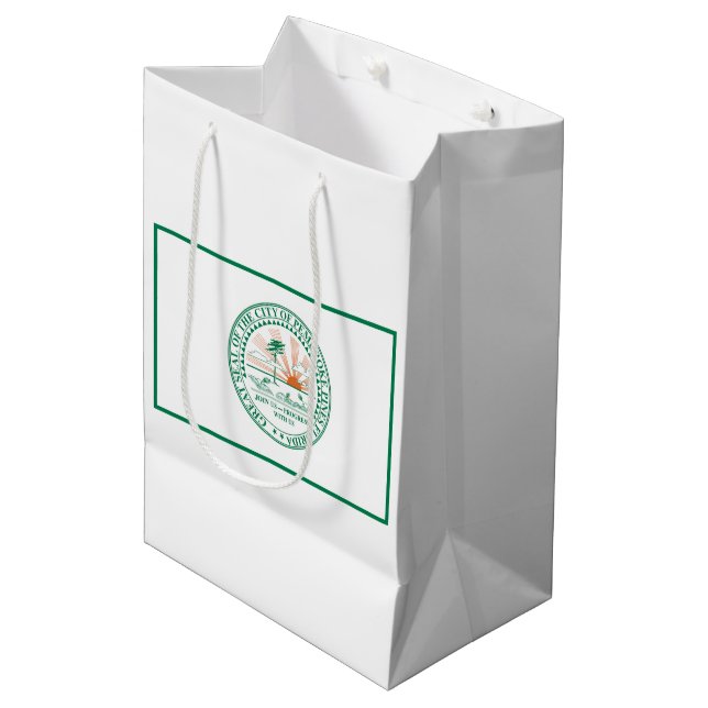 Flag of Fort Pembroke Pines, Florida Medium Gift Bag (Front Angled)