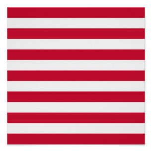 Flag of Goes Poster