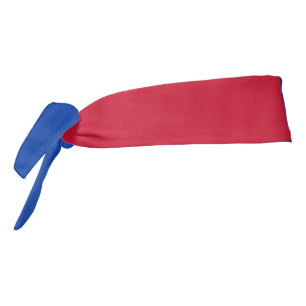 Flag of Harenkarspel Tie Headband