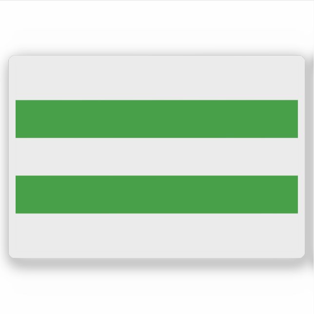 Flag of Hasselt, Belgium Sticker (Front)