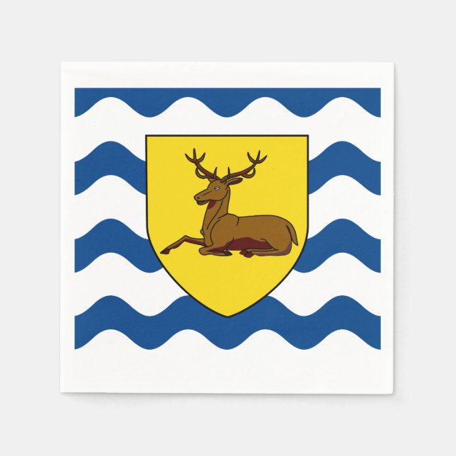 Flag of Hertfordshire Paper Napkins (Front)
