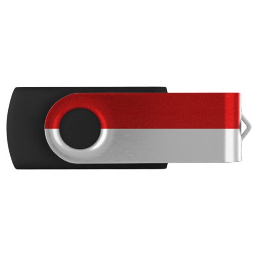 Flag of Hesse USB Flash Drive