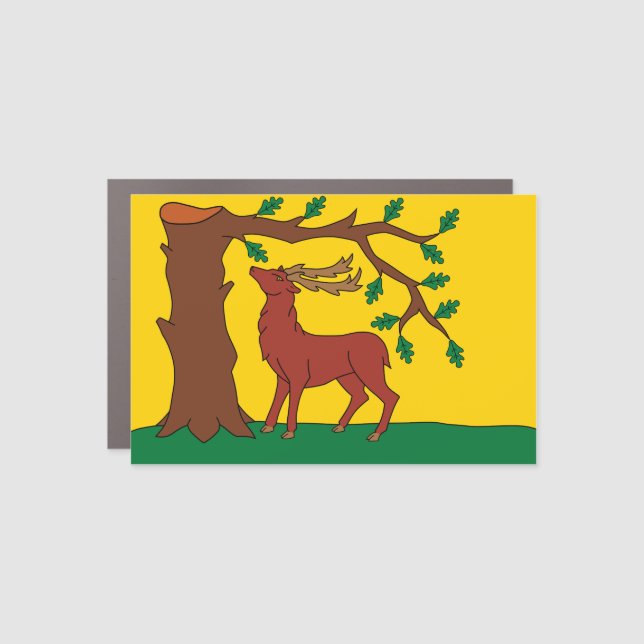 Flag of historic county of Berkshire Car Magnet (Front)