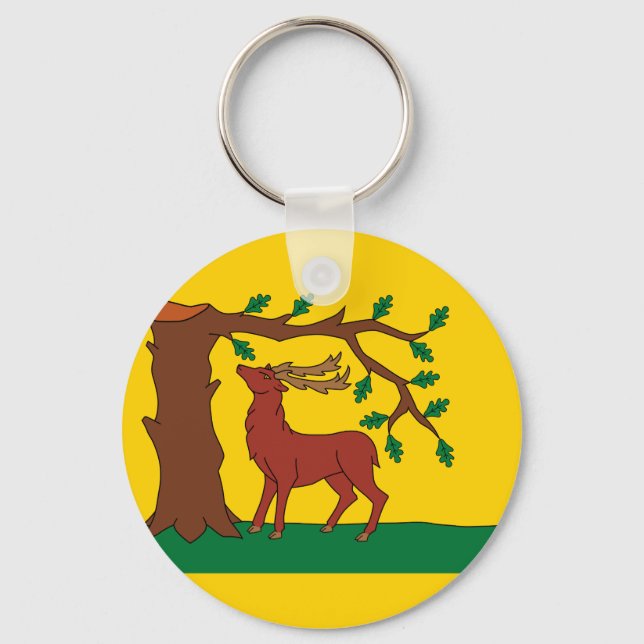 Flag of historic county of Berkshire Keychain (Front)