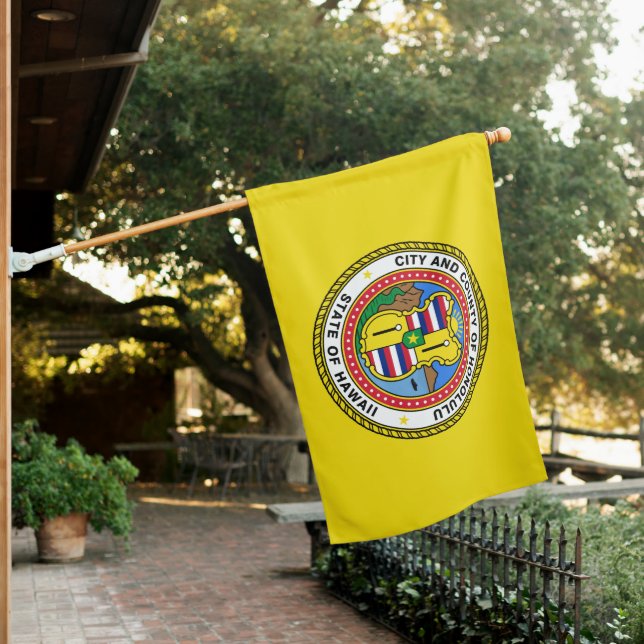 Flag of Honolulu (Hawaii) (In SItu)