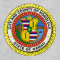 Flag of Honolulu, Hawaii