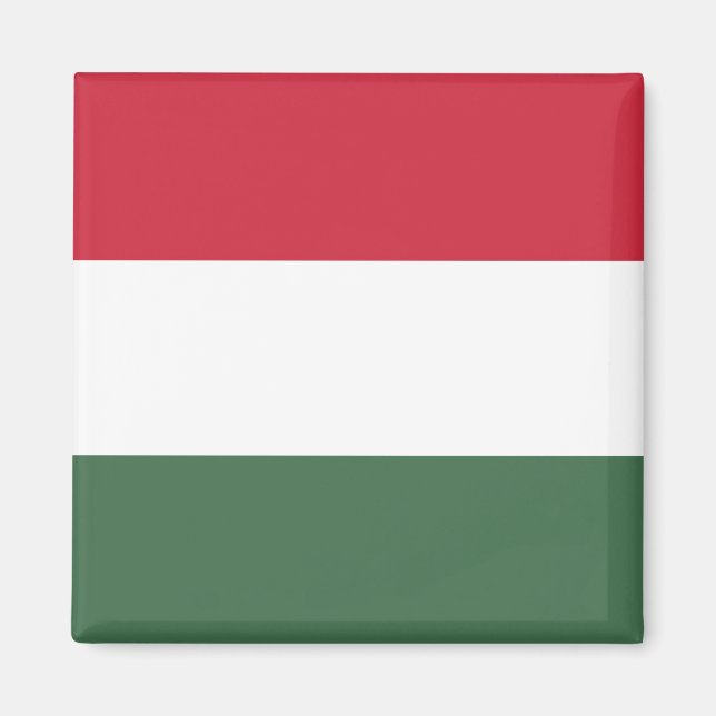 Flag of Hungary tricolor Magnet (Front)
