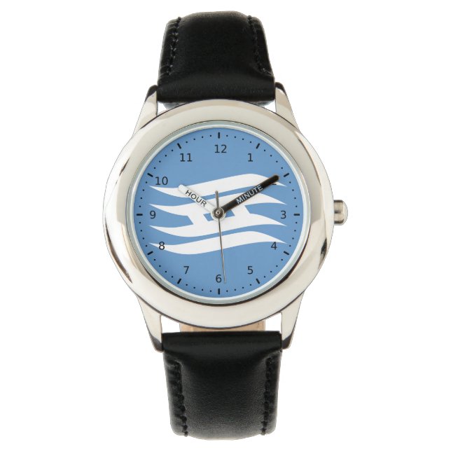 Flag of Hyogo Prefecture, Japan Watch (Front)
