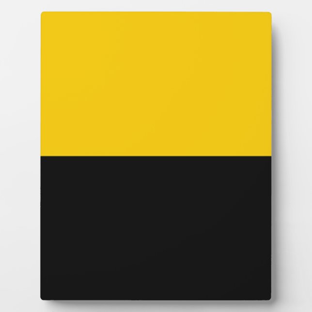 Flag of IJsselstein Plaque (Front)