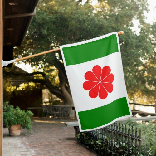Flag of Independent Taiwan  臺灣獨立運動  台灣獨立運動
