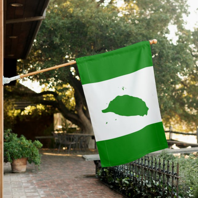 Flag of Independent Taiwan – 臺灣獨立運動 – 台灣獨立運動  (In SItu)