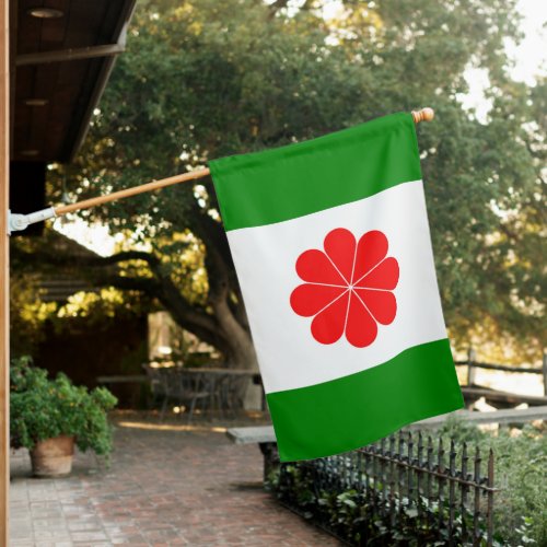 Flag of Independent Taiwan  臺灣獨立運動  台灣獨立運動  