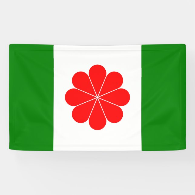 Flag of Independent Taiwan – 臺灣獨立運動 – 台灣獨立運動 Banner (Horizontal)