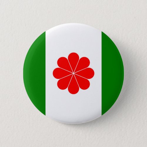 Flag of Independent Taiwan _ 臺 灣 獨 立 運 動 台   Butto Button
