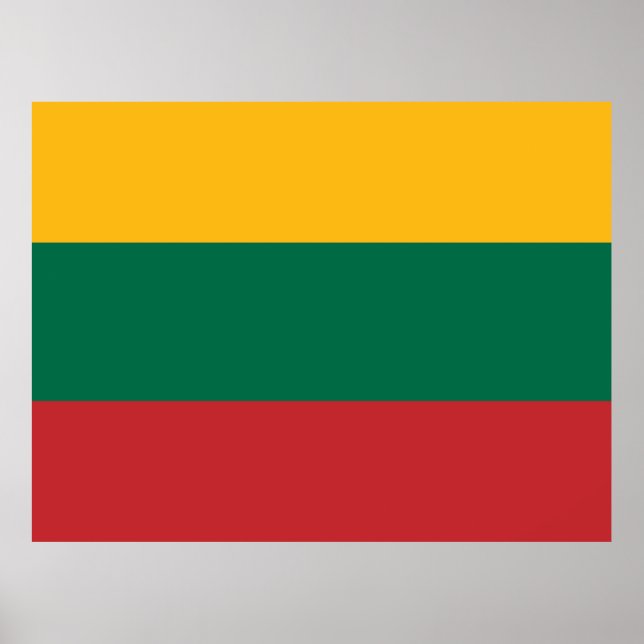 Flag of Lithuania Poster (Front)