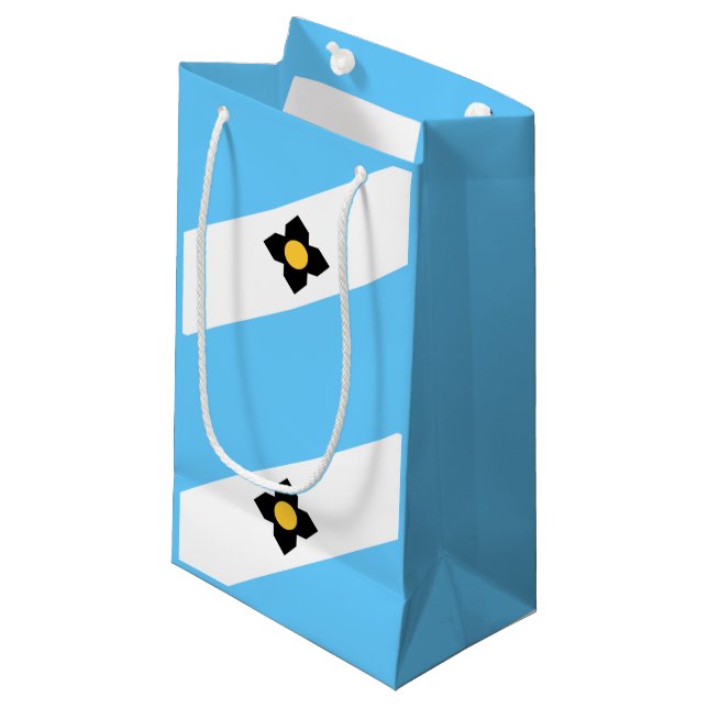 Flag of Madison, Wisconsin Small Gift Bag (Front Angled)