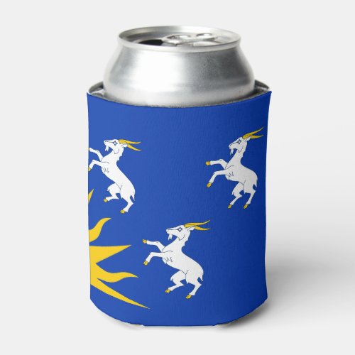Flag of Merionethshire Can Cooler