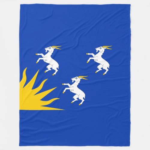 Flag of Merionethshire Fleece Blanket