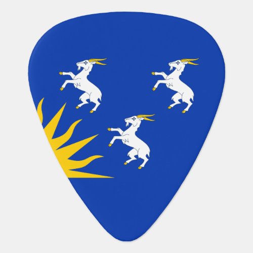 Flag of Merionethshire Guitar Pick