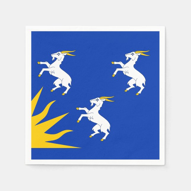 Flag of Merionethshire Paper Napkins (Front)