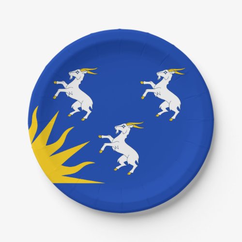 Flag of Merionethshire Paper Plates