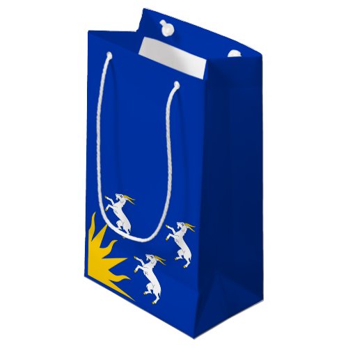 Flag of Merionethshire Small Gift Bag