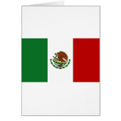Flag of Mexico (Front)