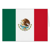 Flag of Mexico (Front Horizontal)