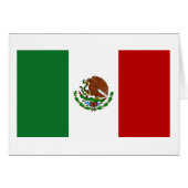 Flag of Mexico (Front Horizontal)
