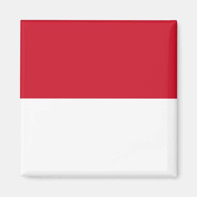 Flag of Monaco Magnet (Front)