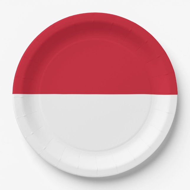Flag of Monaco Paper Plates (Front)