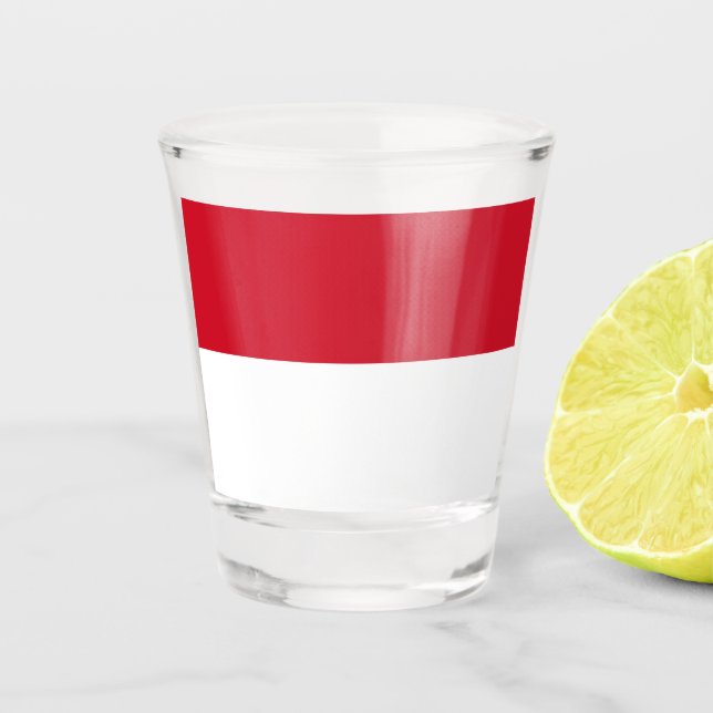 Flag of Monaco Shot Glass (Front)