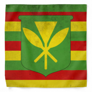 Flag of Native Hawaiians Bandana