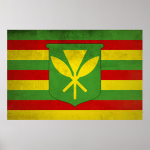 Flag of Native Hawaiians Poster