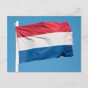 Flag of Netherlands Postcard